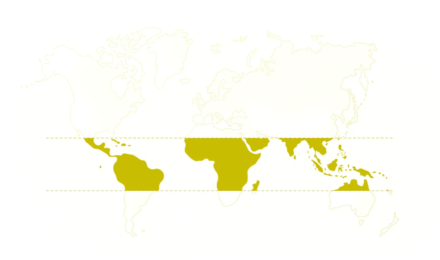 Boabe cafea din Columbia si Brazilia